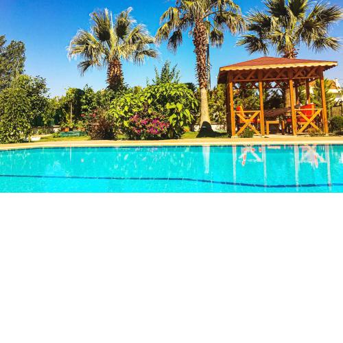 Villa Fish