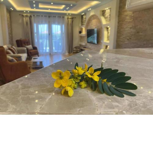 Villa Front Beach First row family only