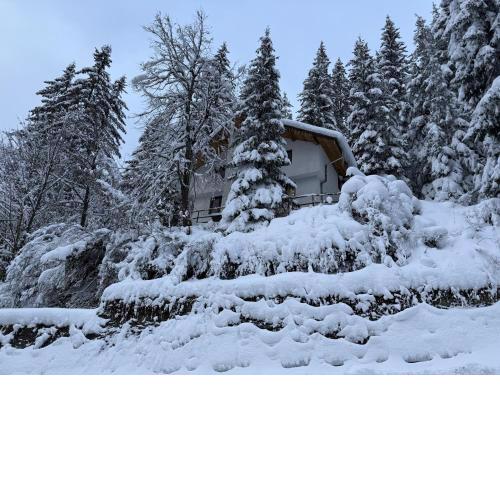 Villa Gusto, 3km from Pamporovo