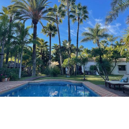 Villa in a palm tree plantation