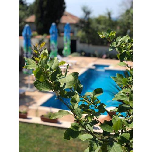 Villa Iva