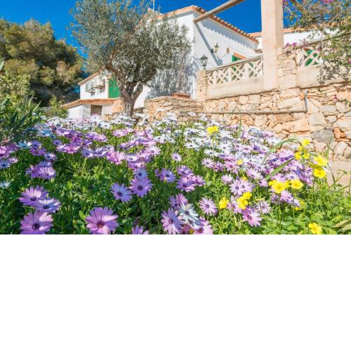 VILLA LA CASETA