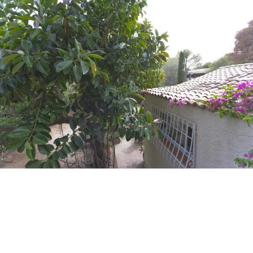 Villa Los Pinos