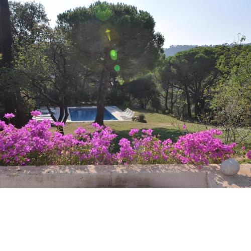 Villa Mas Bartra