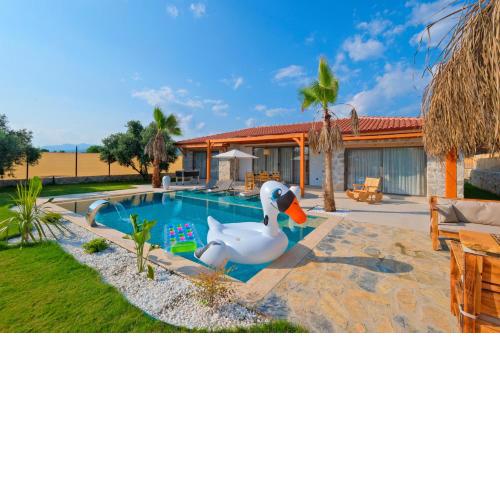 Villa mono 1