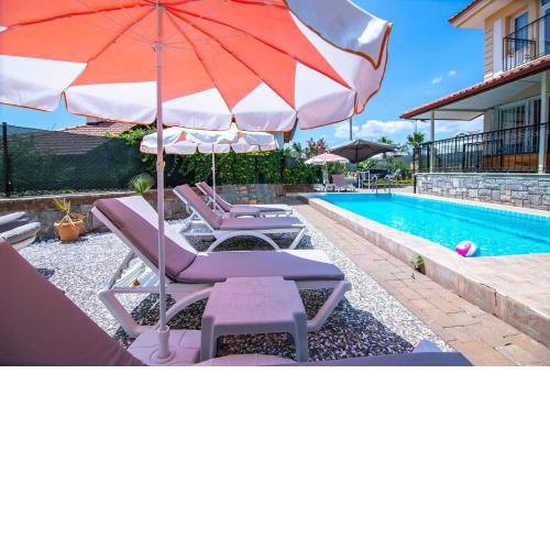 Villa Palm Tree
