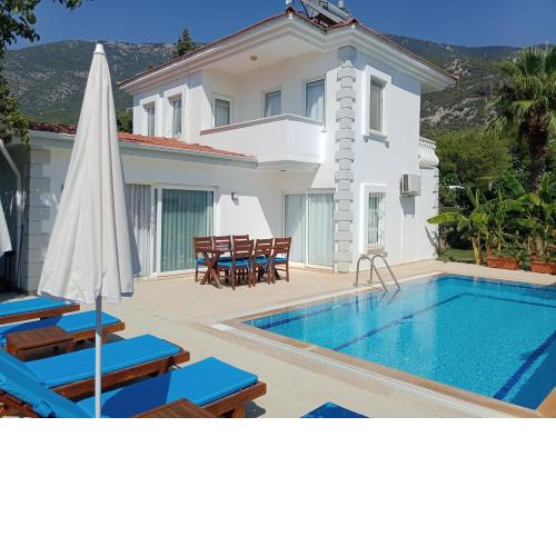 VILLA PALM