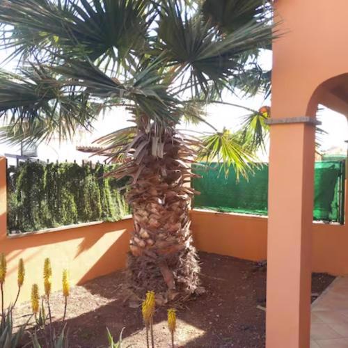 Villa Palmera - 3 bedroom