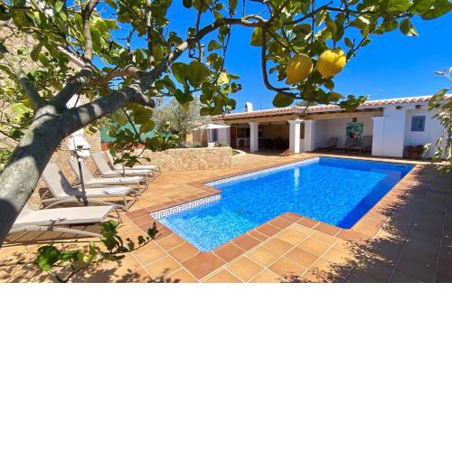 Villa PALMERA