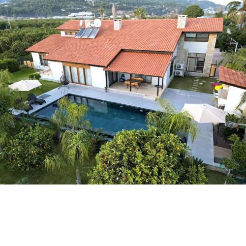 Villa Queen Palm