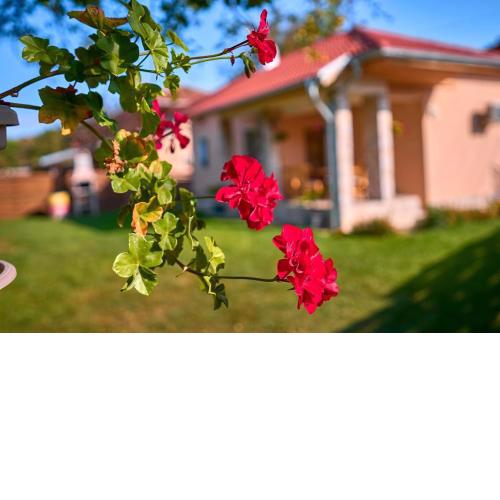 Villa Simida
