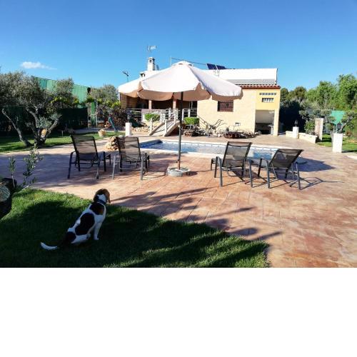 VILLA VEGA