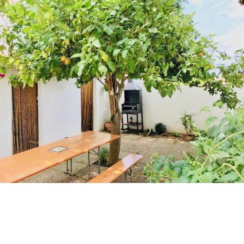Villa xaloc