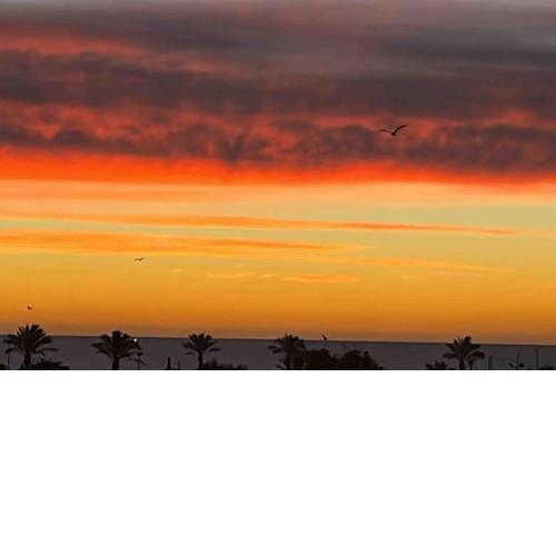 Vinaros Coquet appartement vue mer