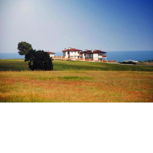 Vis Velika