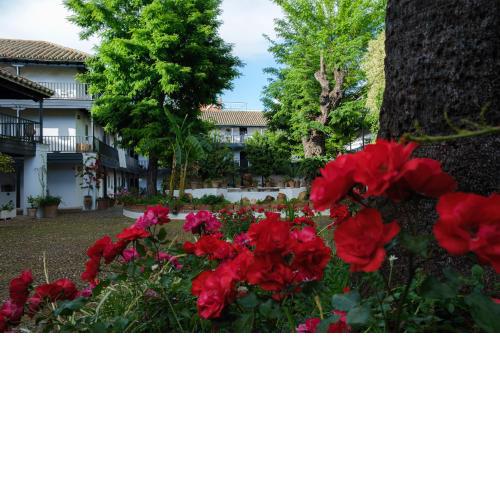 Vista Corral del Conde