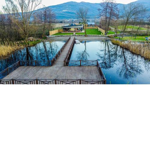 Vital Göl Sapanca Özel Havuzlu Bungalov & Villa