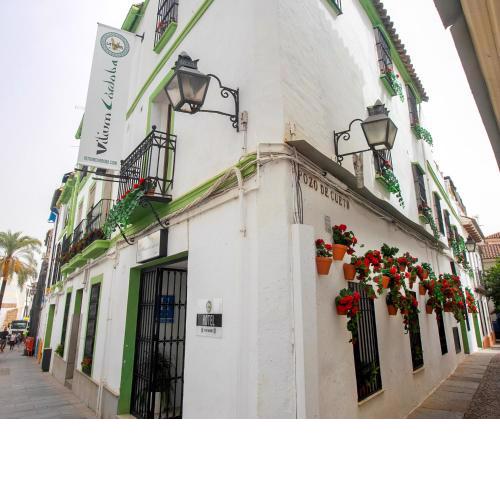 Vitium Córdoba