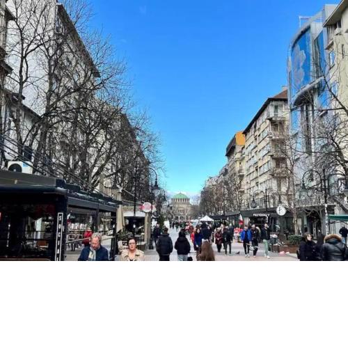 Vitosha Blvd Spacious and Quiet Apartment