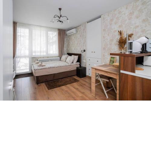 Vitosha Boulevard Studio