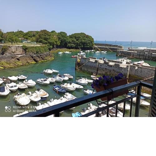Vive el puerto de Mundaka con párking GRATUITO!!!