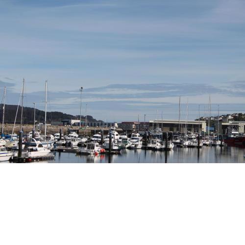 Viveiro