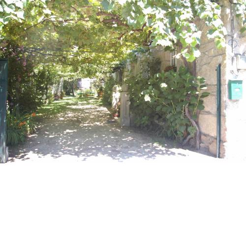 Vivienda tradicional con jardín y patio interior