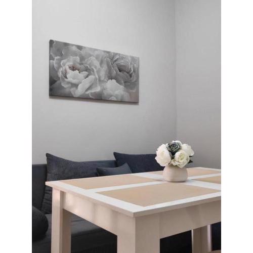 VN Home 1