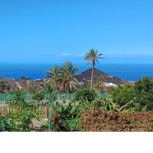 Vv - Casa Clary -Finca Medina