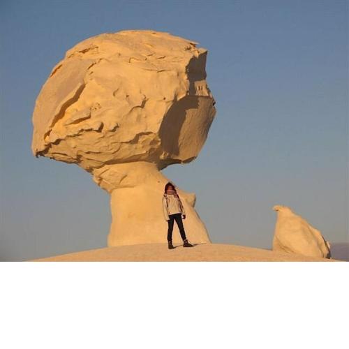White desert & Black desert camb