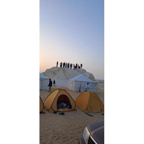 White Desert Safari Trips in Bahariya Oasis