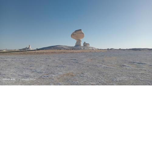 White Desert Safari