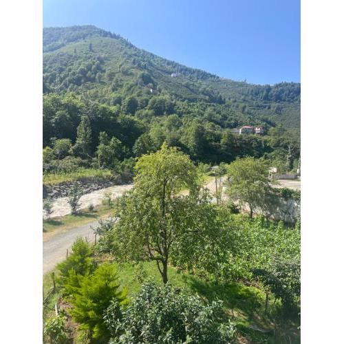 Yeşil ve huzur dolu bir daire