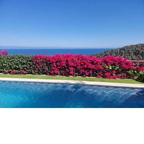 Your Paradise at Costa Brava