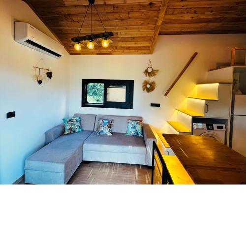 Yucca tiny house