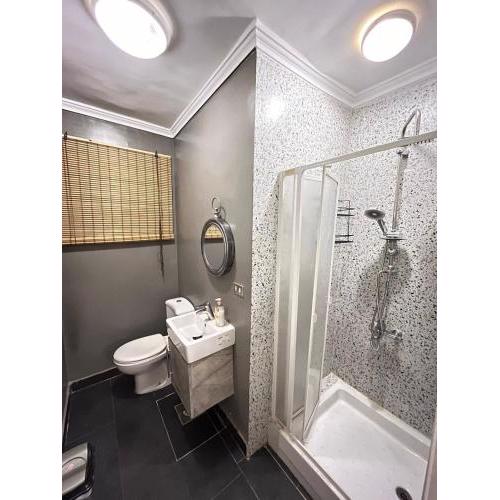 Zamalek hotel apartment 2BR