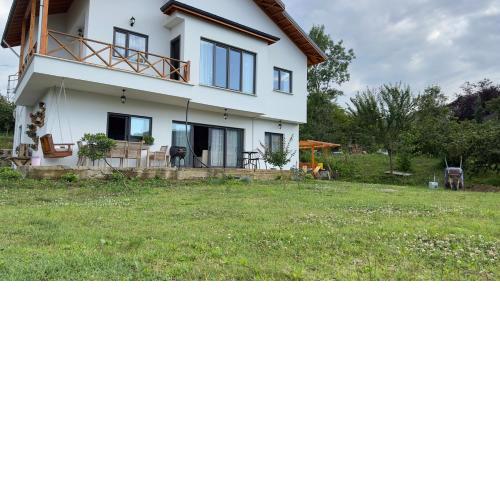 Zeytin Dalı Villa
