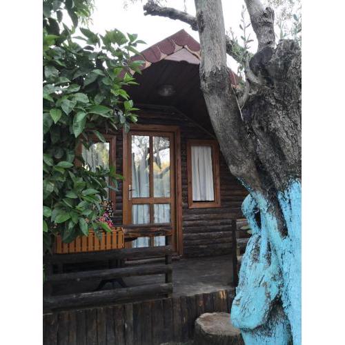 Zeytindağı bungalow