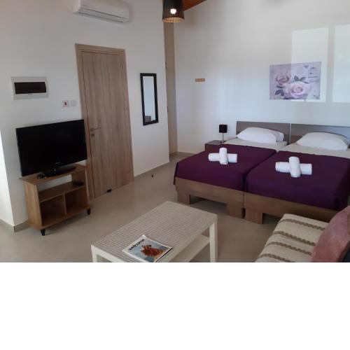 ZORBAS Sea View No 5