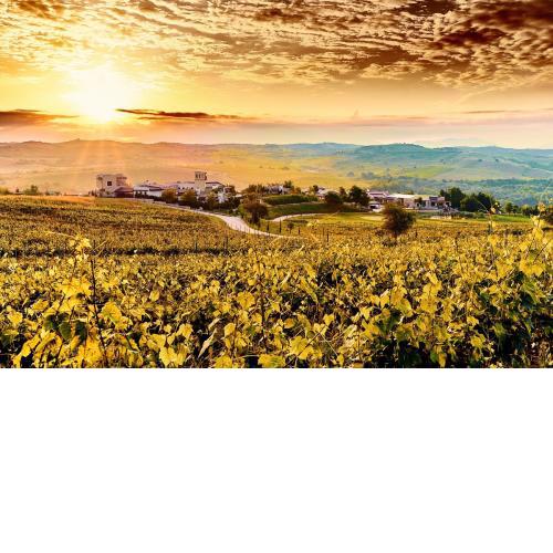 Zornitza Family Estate Relais & Chateaux
