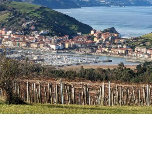 Zumaia Basque Alai