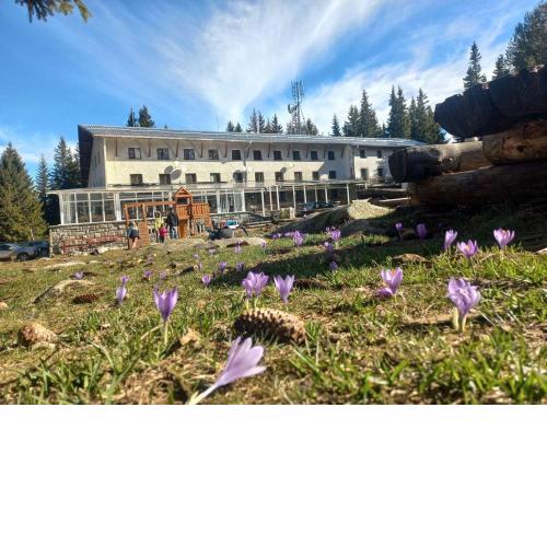 Zvezditsa Chalet